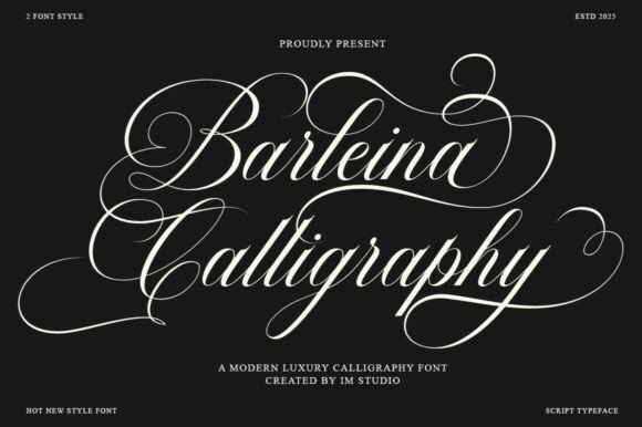 Barleina Calligraphy: Elevating Modern Design with Artful Type