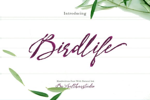 Bird Life: Unleashing Handwritten Charm in Modern Design